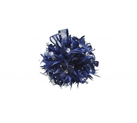 Ramo de presentación