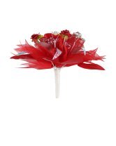 Ramo de Presentación Alana